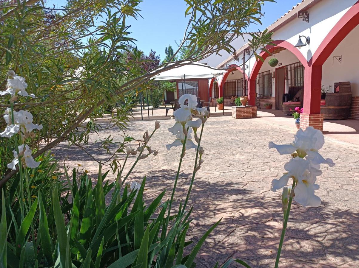 Casa Rural El Palomar Villa Pedro Muñoz Exterior foto